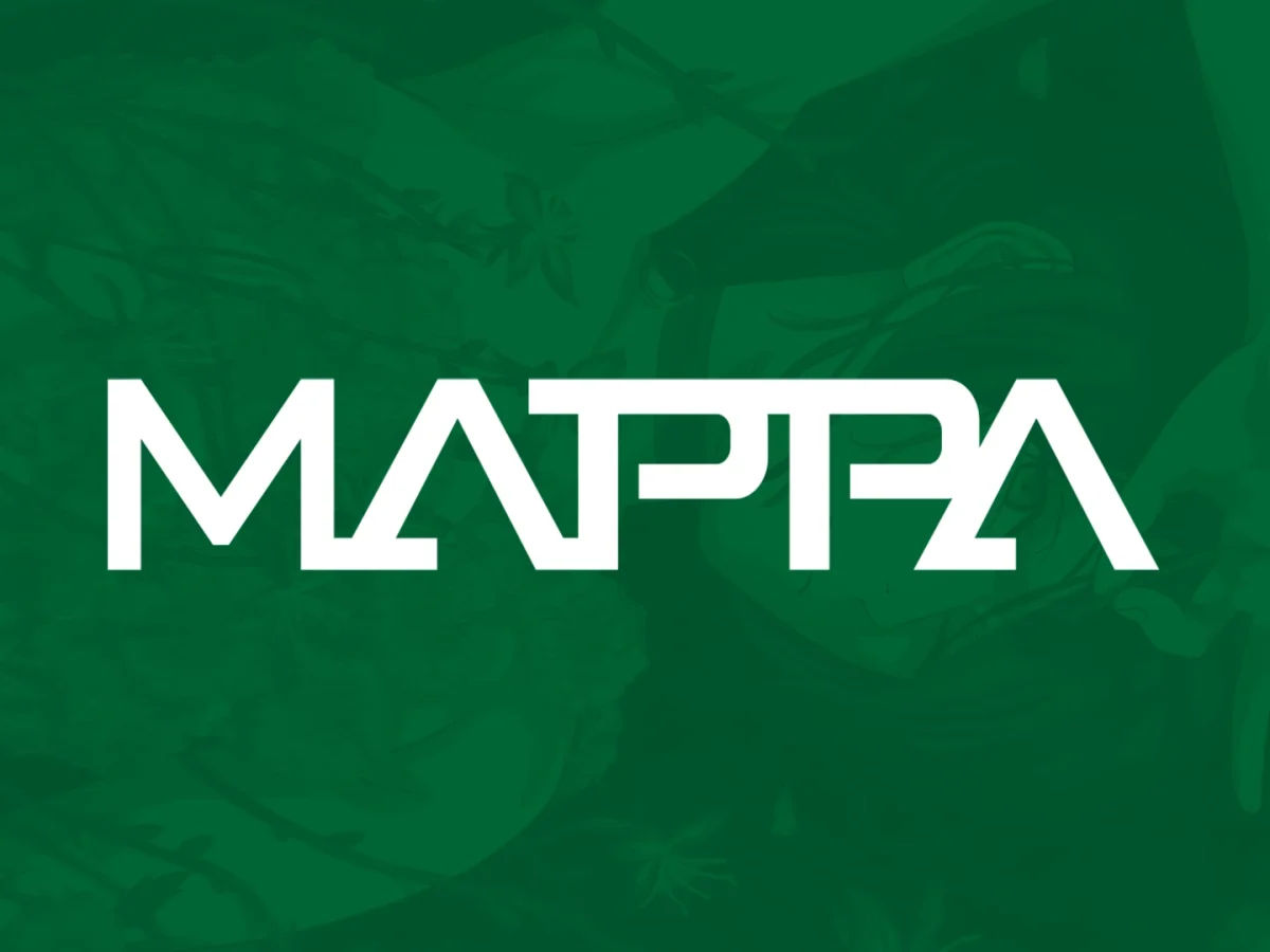 Studio MAPPA – Upcoming Anime Projects