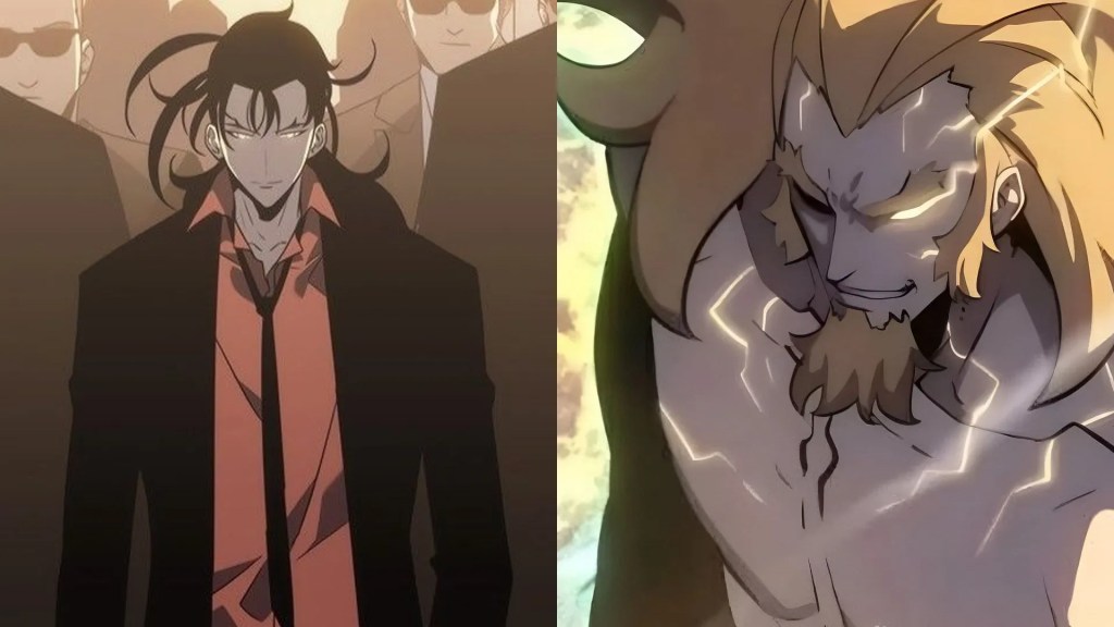 Solo Leveling Hunter Ranks National Level