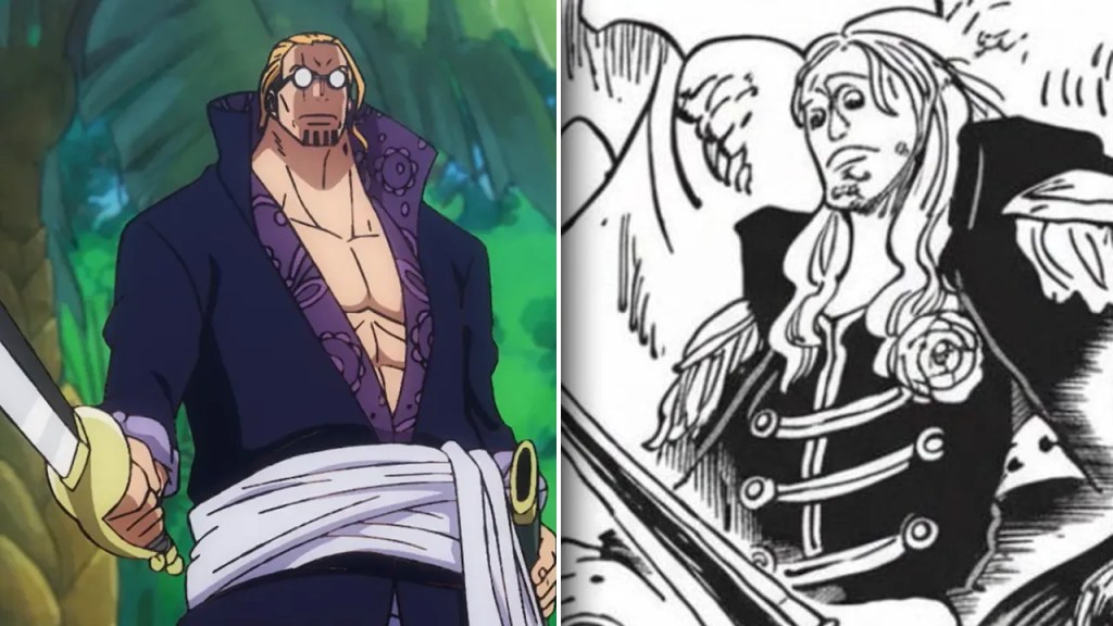 Rayleigh vs Sommers One Piece 1161 